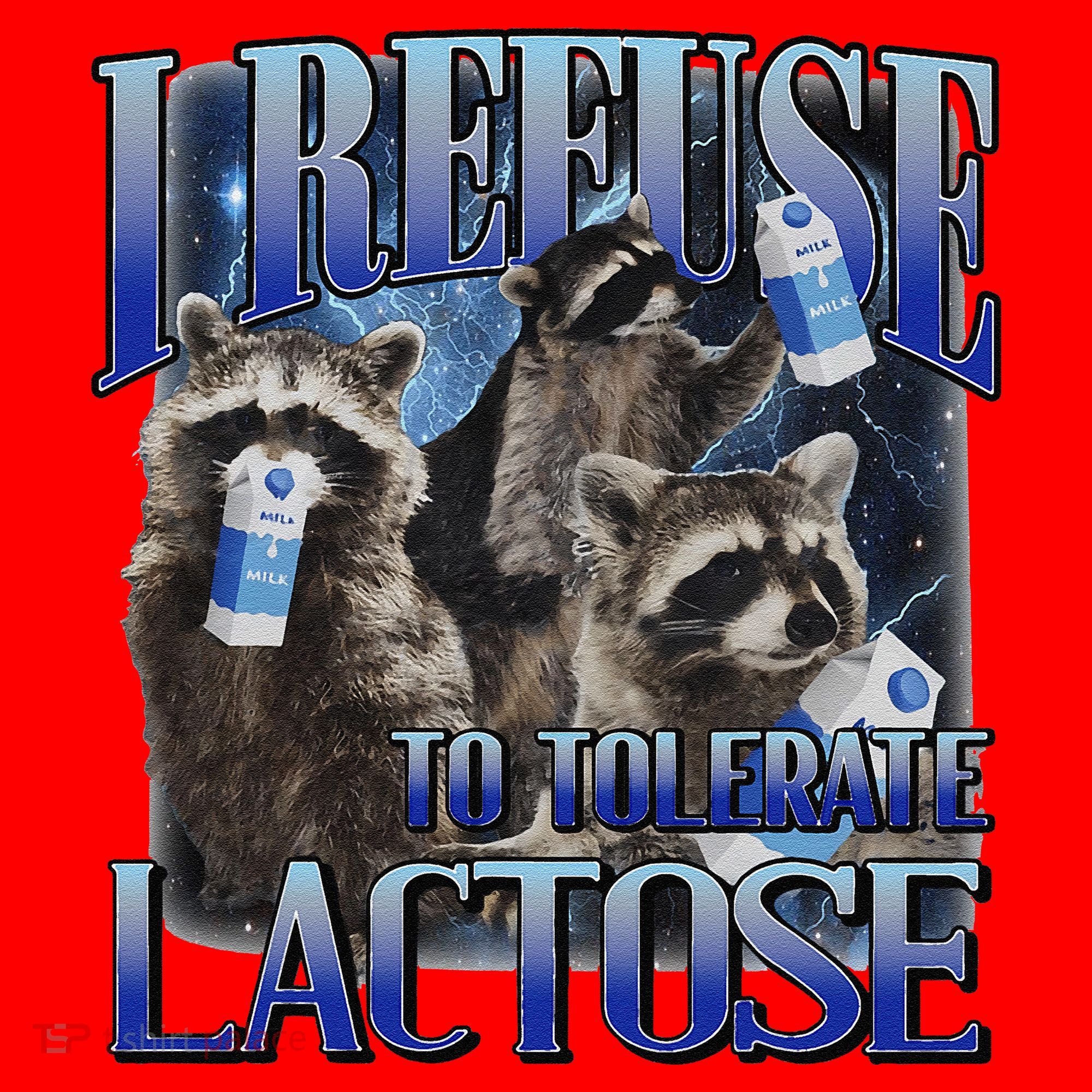 I Refuse To Tolerate Lactose Racoon Meme Lactose Intolerant Santa Hat