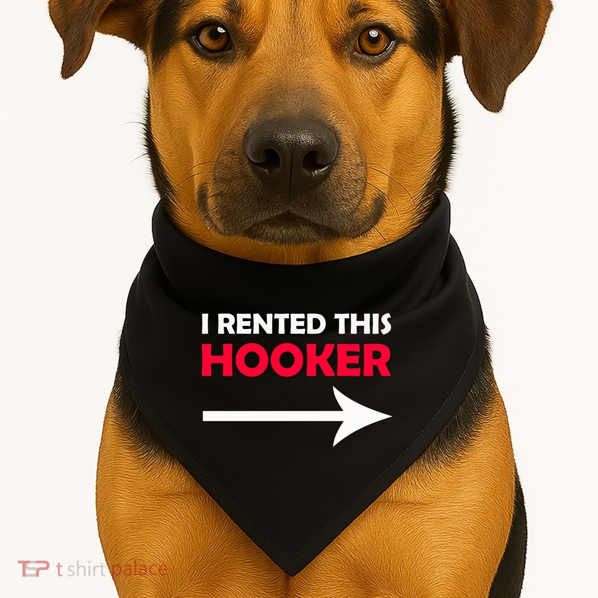 I Rented This Hooker USA-Made Doggie Bandana