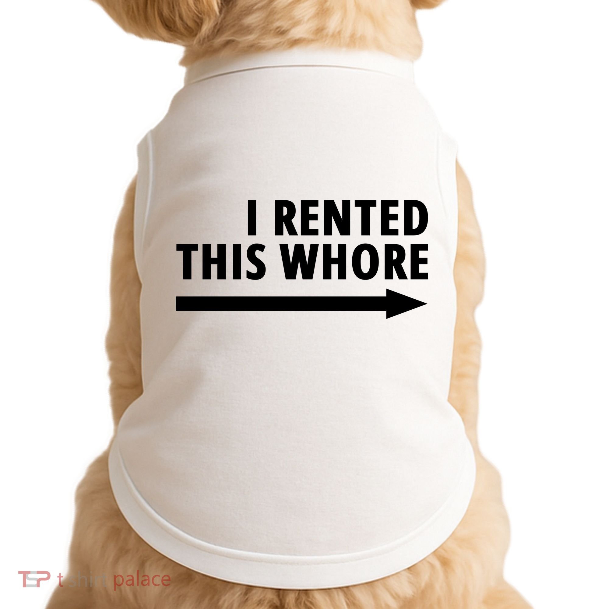 I Rented This Whore Funny Offensive Saying Doggie Tank
