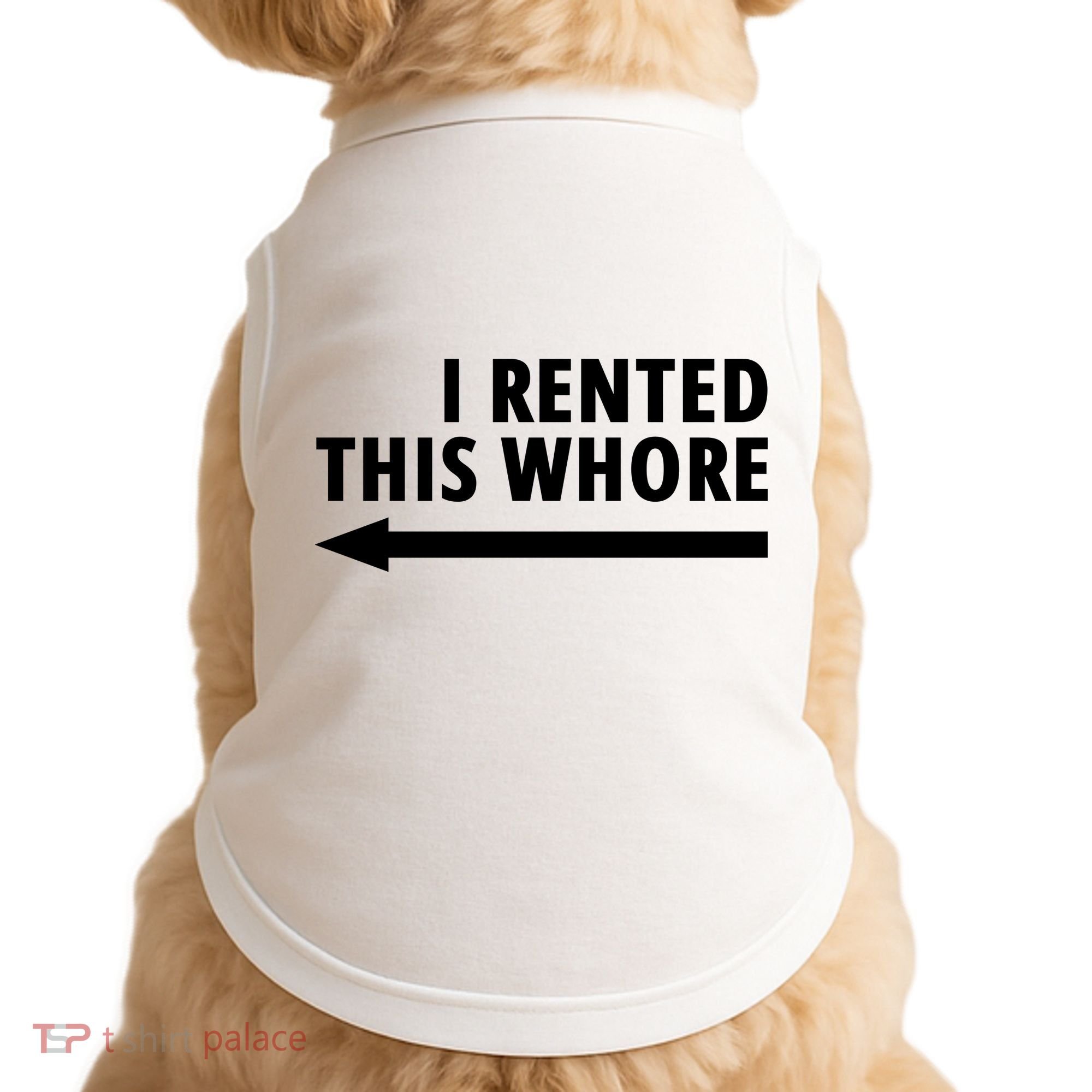 I Rented This Whore Funny Offensive Saying Doggie Tank
