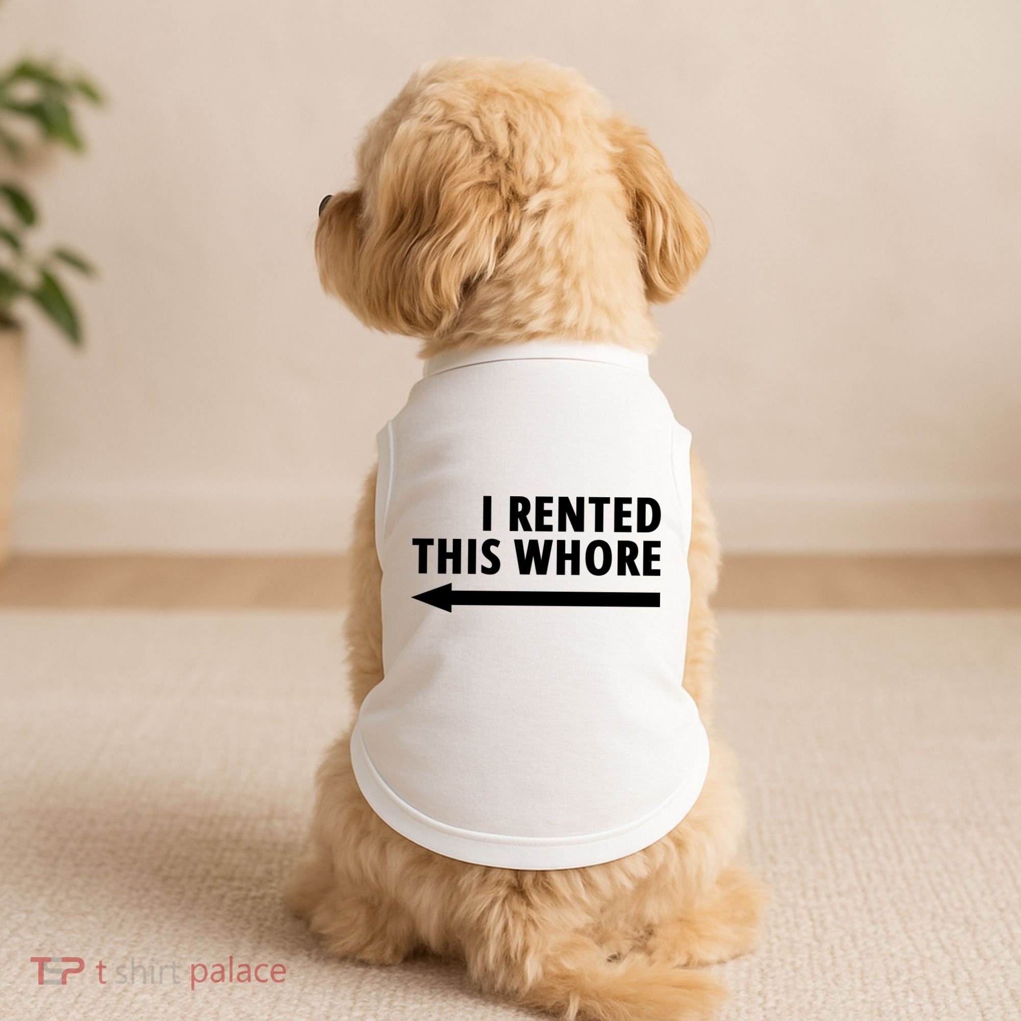 I Rented This Whore Funny Offensive Saying Doggie Tank