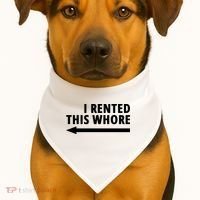 I Rented This Whore Funny Offensive Saying USA-Made Doggie Bandana thumb 1