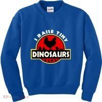 I Raise Tiny Dinosaurs Chicken Lover Gift Kids Sweatshirt thumb 0
