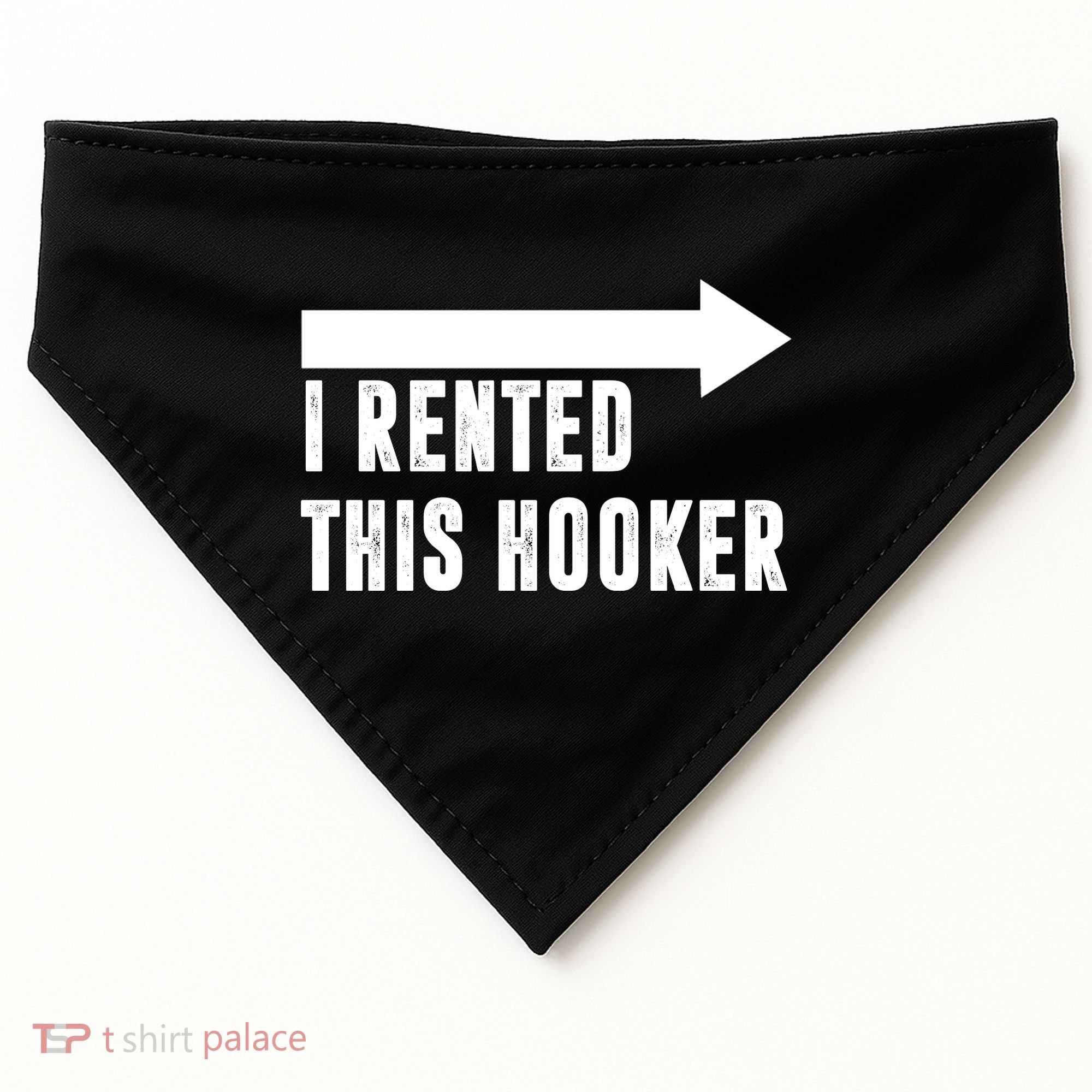 I Rented This Hooker Funny USA-Made Doggie Bandana
