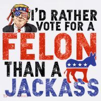 I’D Rather Vote For A Felon Than A Jack Ass Women's Hoodie thumb 2