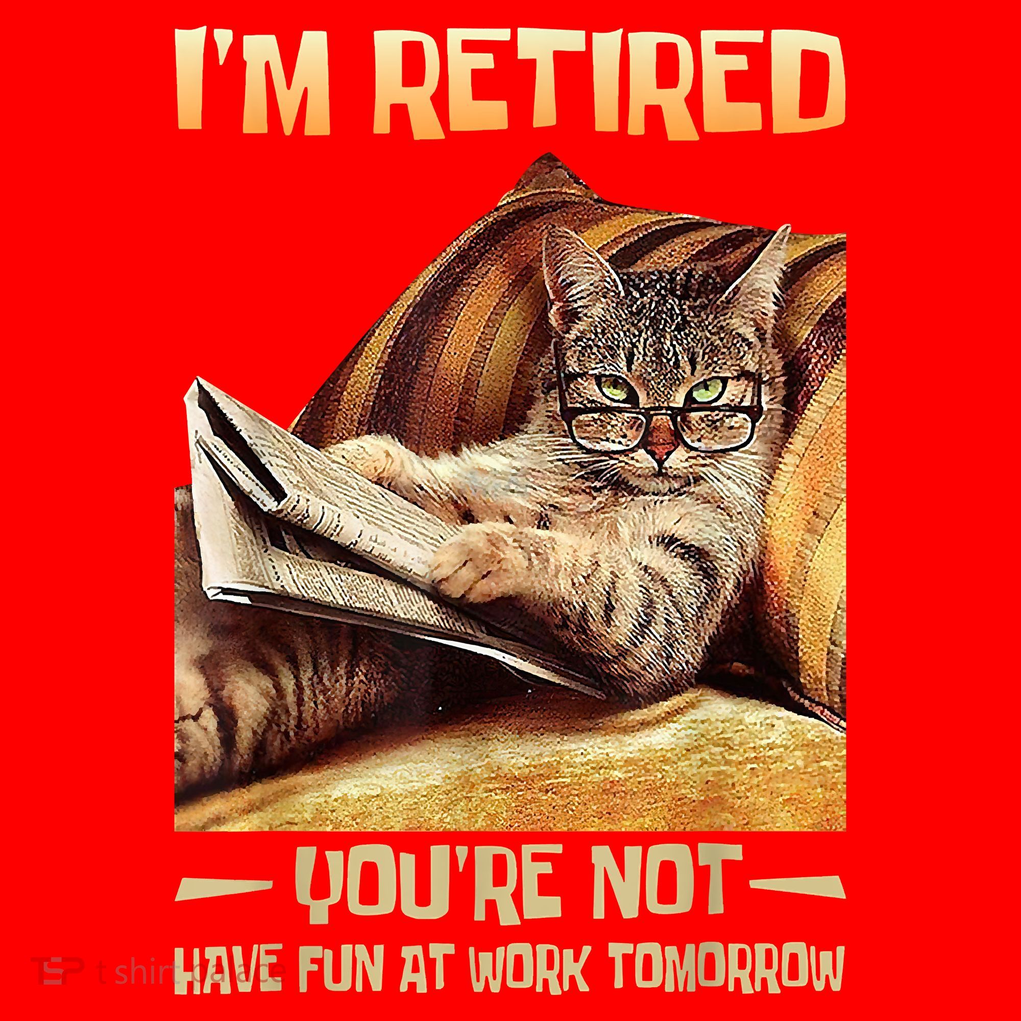 I'm Retired You're Not Have Fun At Work Tomorrow Funny Cat Santa Hat