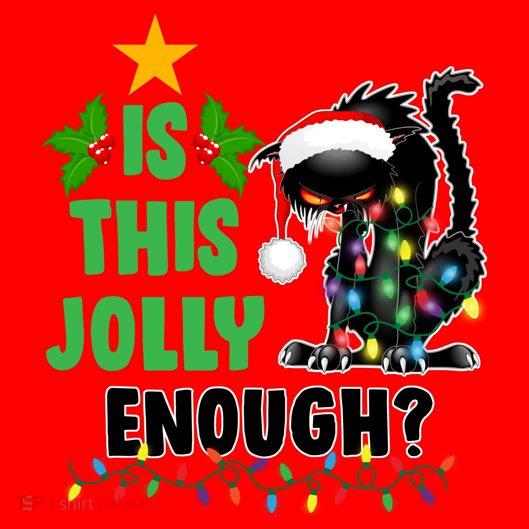 Is This Jolly Enough Funny Christmas Cat Santa Hat