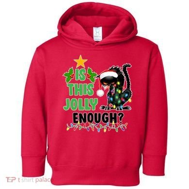 Is This Jolly Enough Funny Christmas Cat Toddler Hoodie