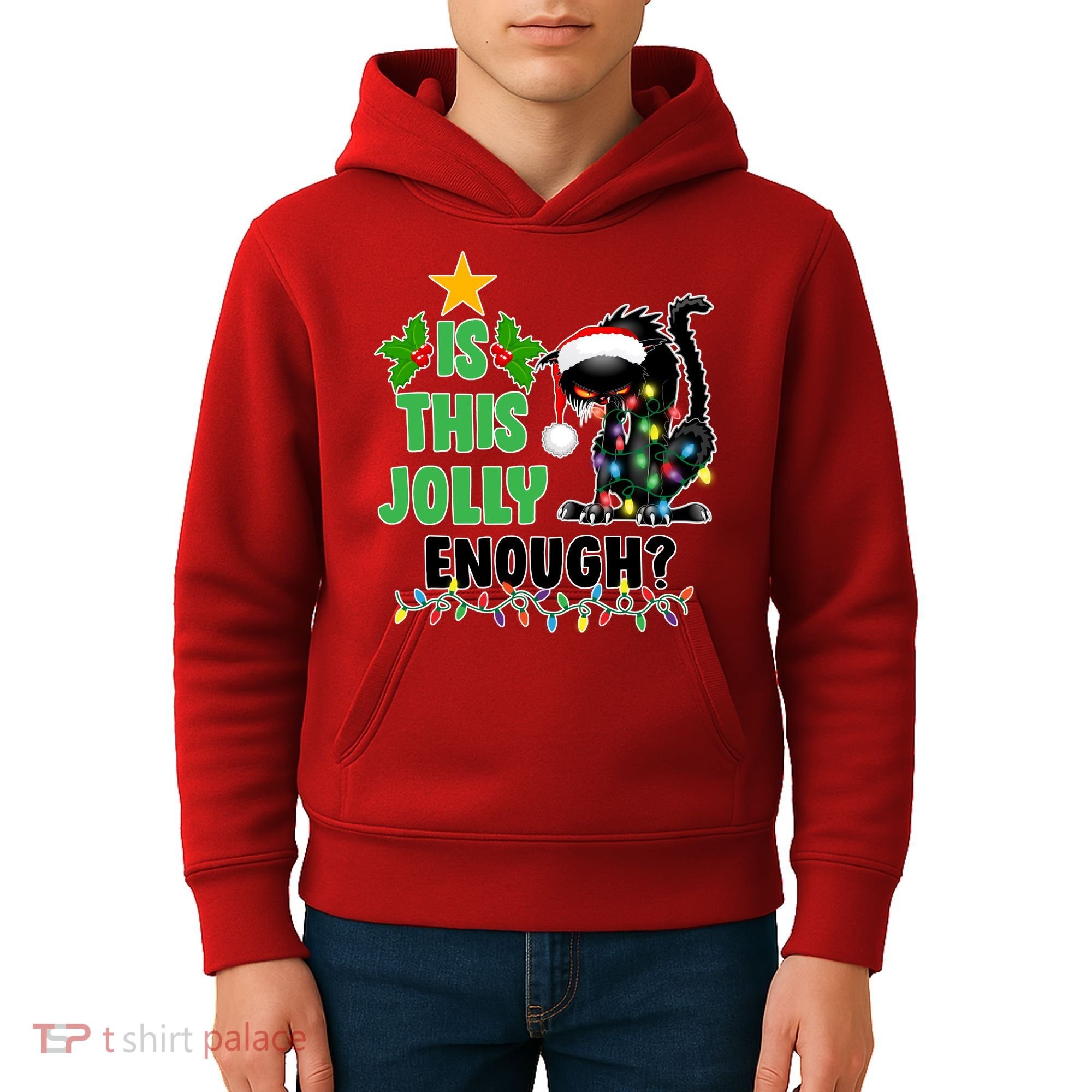 Is This Jolly Enough Funny Christmas Cat Kids Hoodie