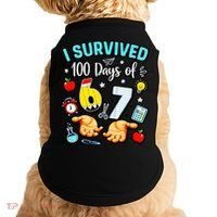 I Survived 100 Days Of 67 School Teachers Students 6-7 Meme Doggie Tank thumb 0