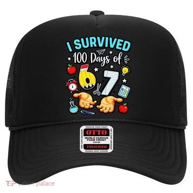 I Survived 100 Days Of 67 School Teachers Students 6-7 Meme Hat