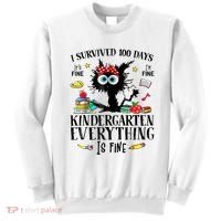 I Survived 100 Days Of Kindergarten Teacher & Student Funny Cat Sweatshirt thumb 0