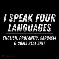 I Speak 4 Languages: English Profanity Sarcasm & Real Shit Ornament thumb 1