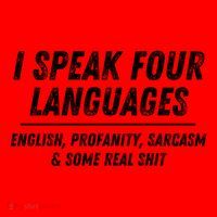 I Speak 4 Languages: English Profanity Sarcasm & Real Shit Santa Hat thumb 1