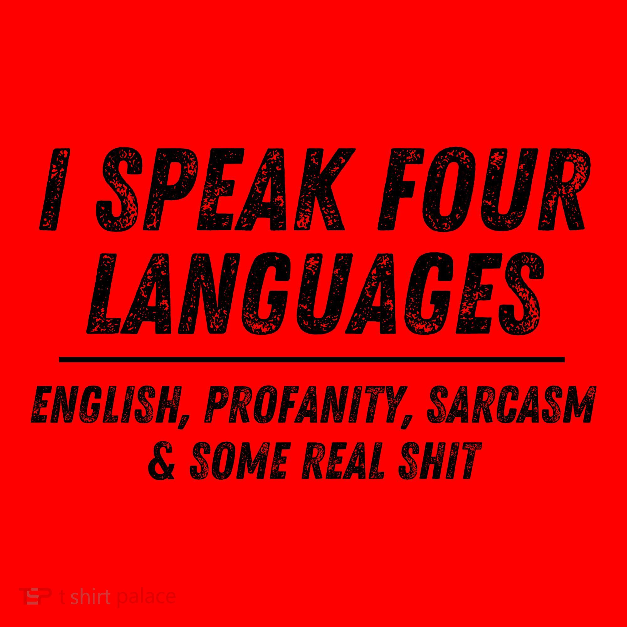 I Speak 4 Languages: English Profanity Sarcasm & Real Shit Santa Hat