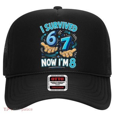 I Survived 6 7 Now I'm 8 8th Birthday 67 Meme Hat