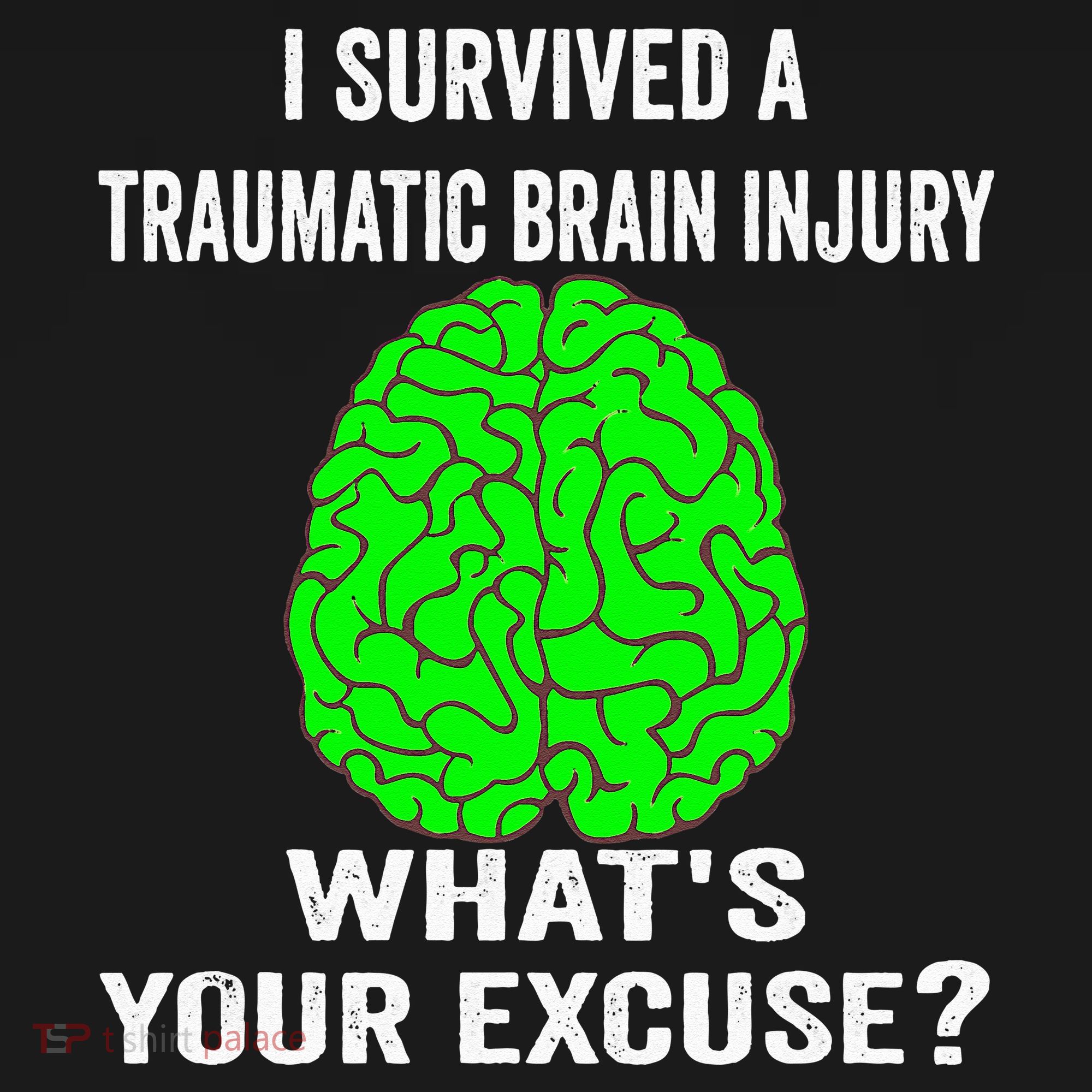 I Survived A Traumatic Brain Injury Whats Your Excuse USA-Made Doggie Bandana