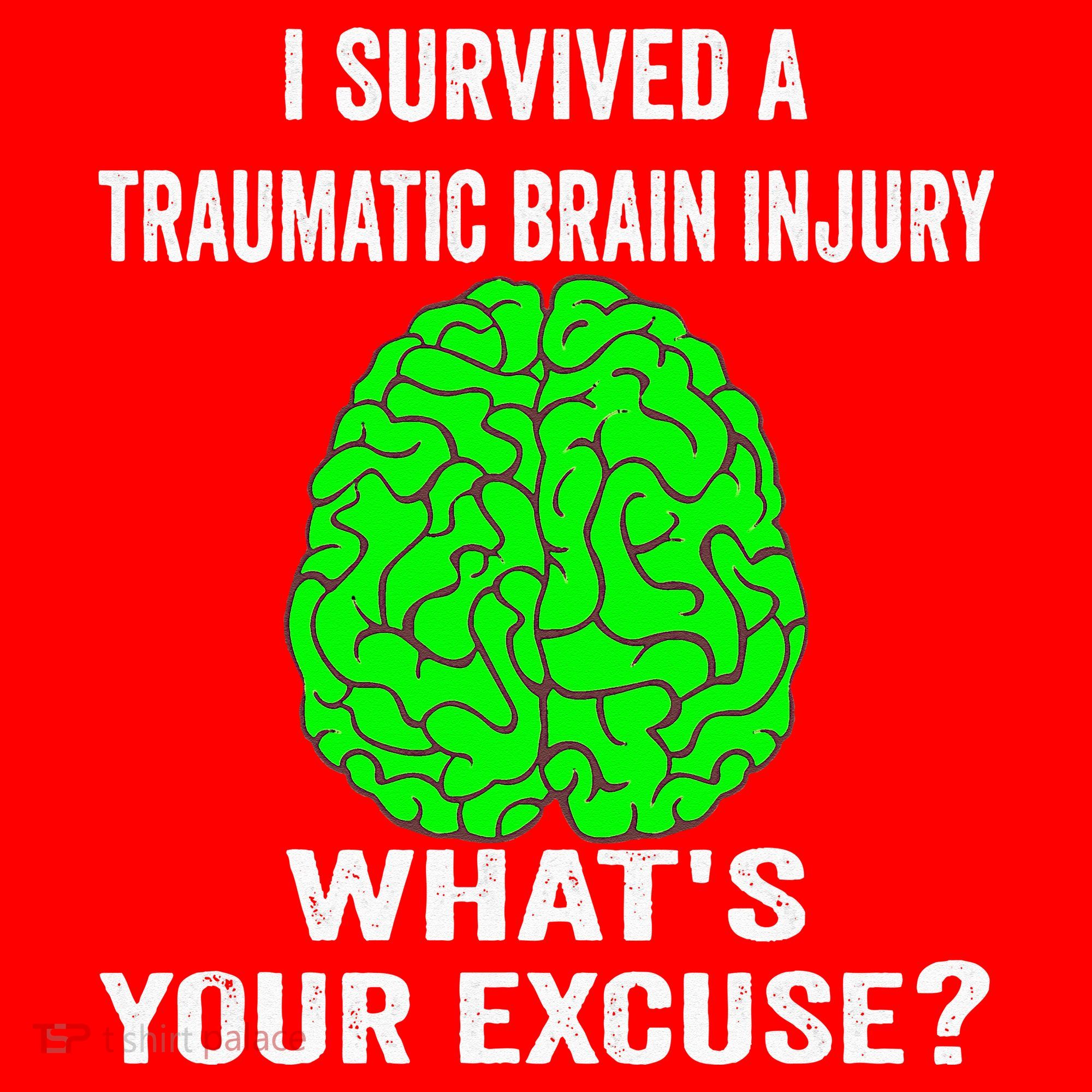I Survived A Traumatic Brain Injury Whats Your Excuse Santa Hat