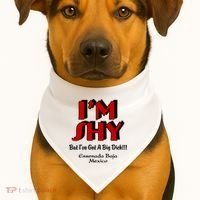 IM Shy But IVe Got A Big Dick Ensenada Baja Mexico USA-Made Doggie Bandana thumb 1