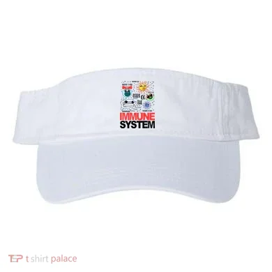 Visor