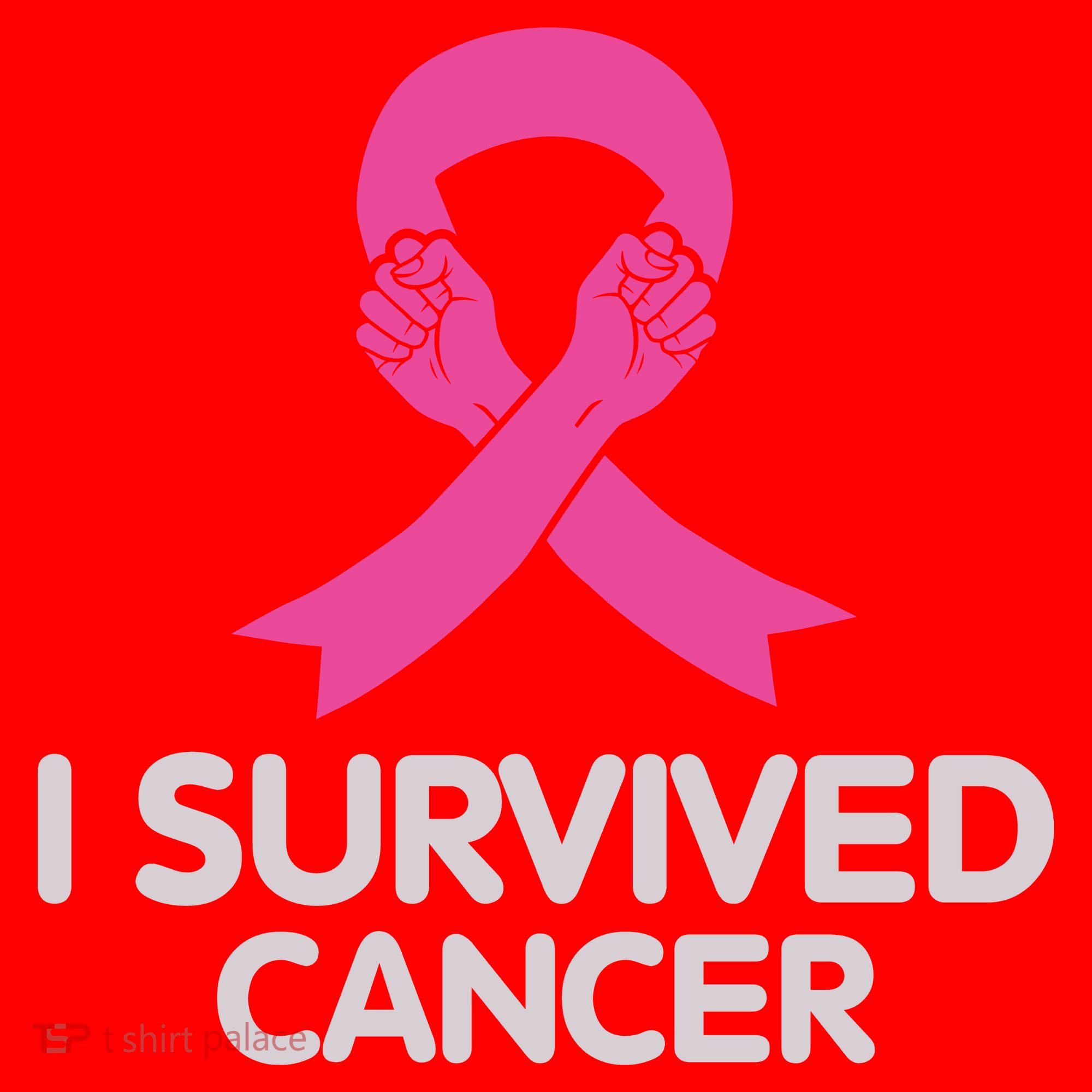 I Survived Cancer Breast Cancer Awareness Santa Hat