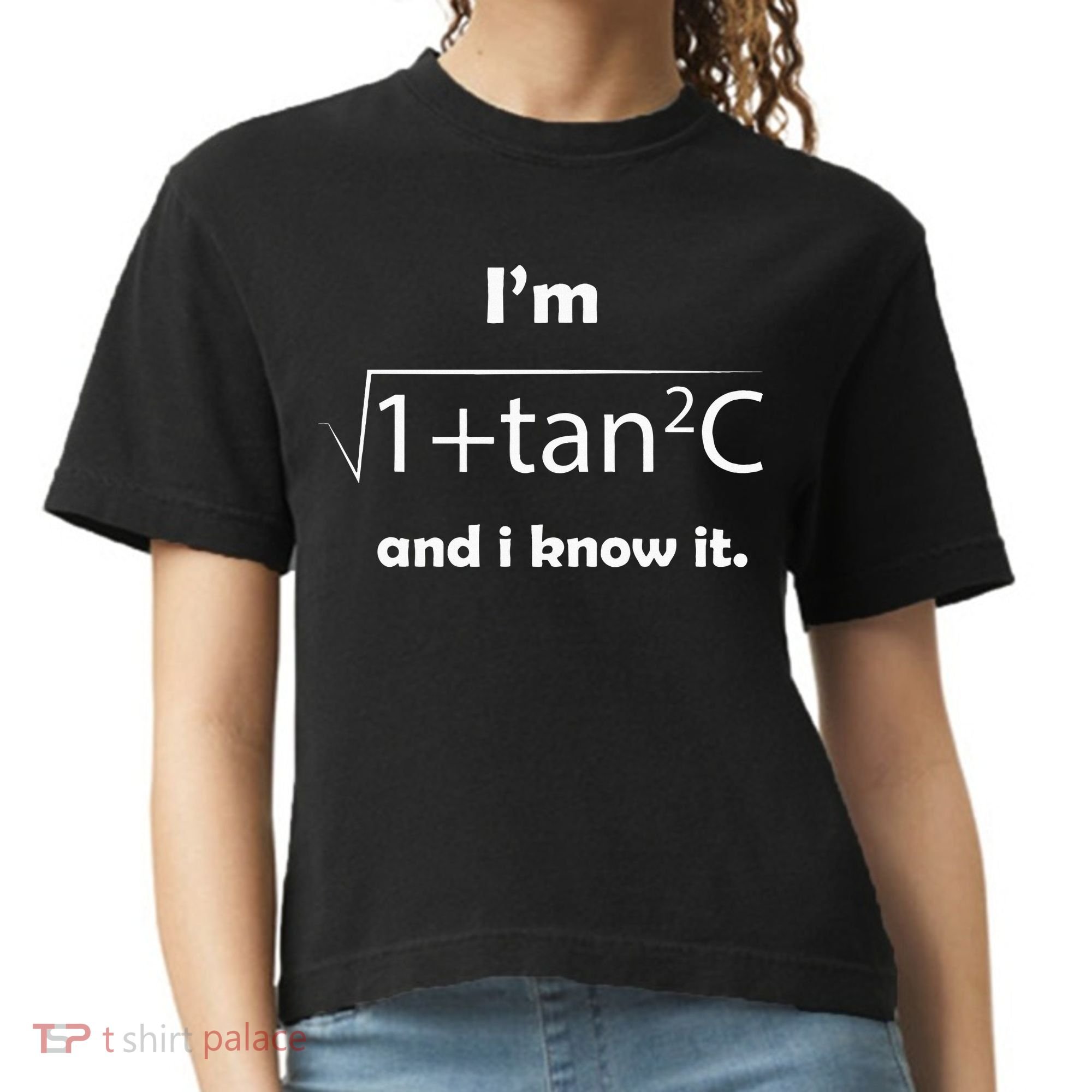 IM Sec C And I Know It Funny Sexy Math Humor Comfort Colors Boxy T-Shirt