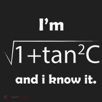 IM Sec C And I Know It Funny Sexy Math Humor Comfort Colors Boxy T-Shirt thumb 3