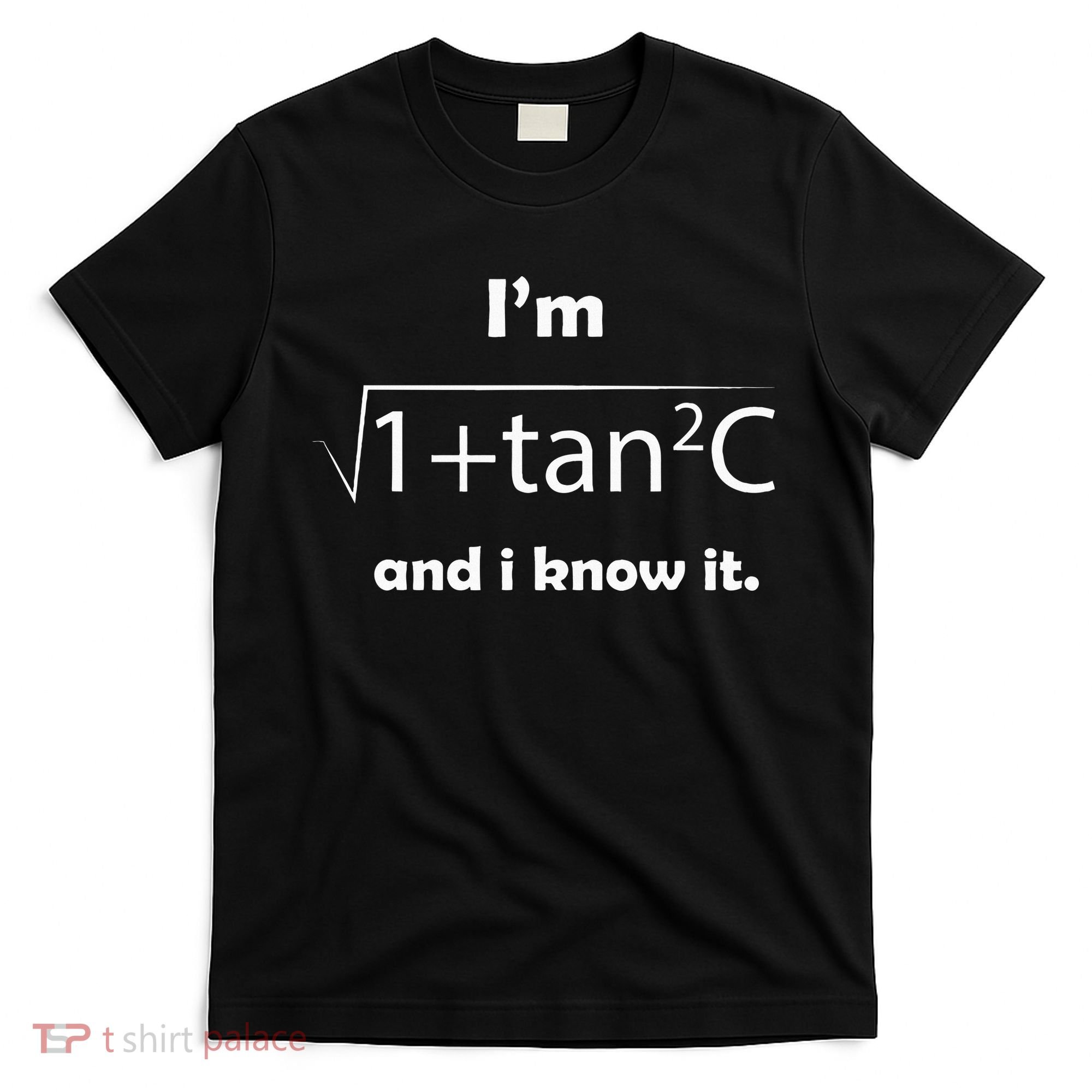 IM Sec C And I Know It Funny Sexy Math Humor T-Shirt