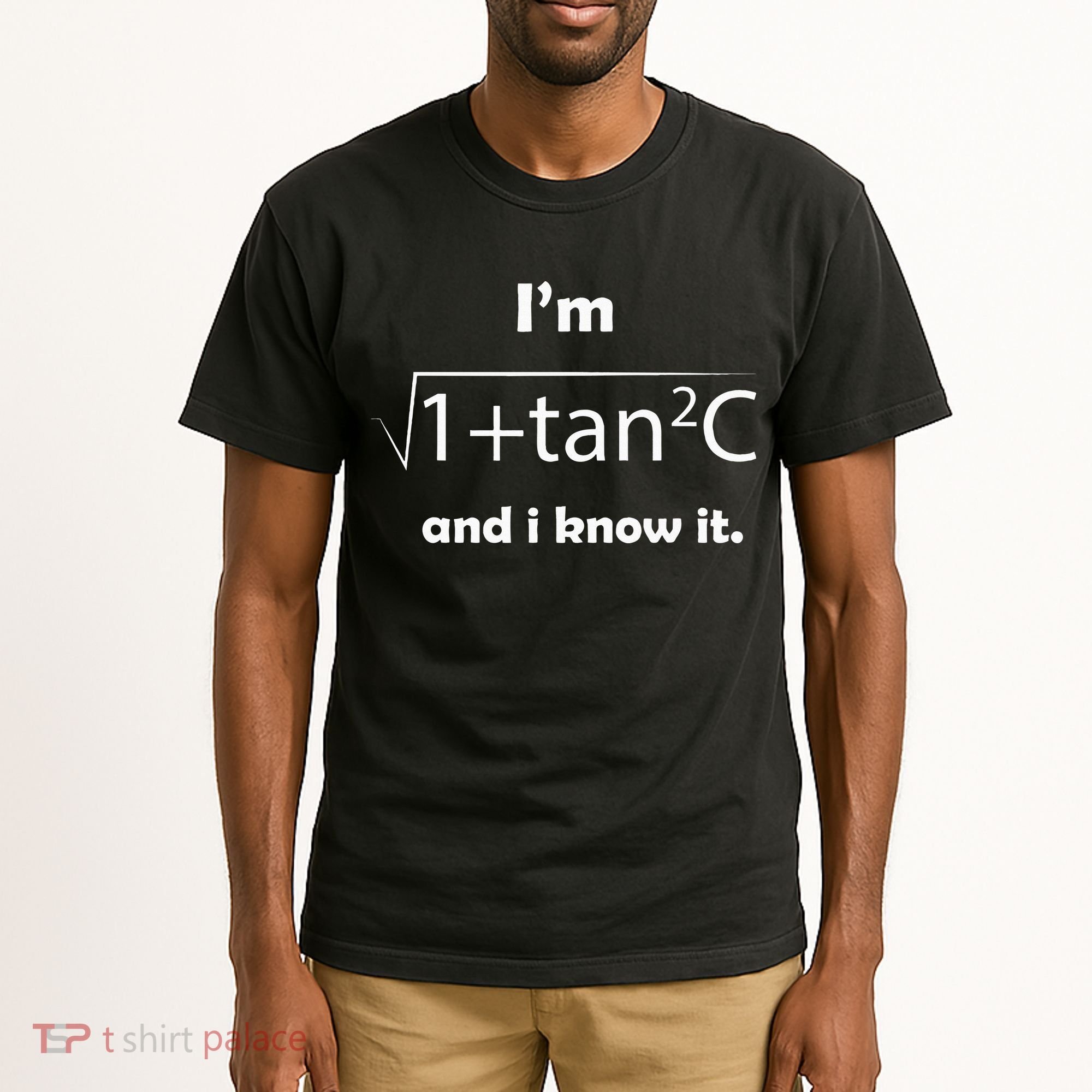 IM Sec C And I Know It Funny Sexy Math Humor Tall T-Shirt