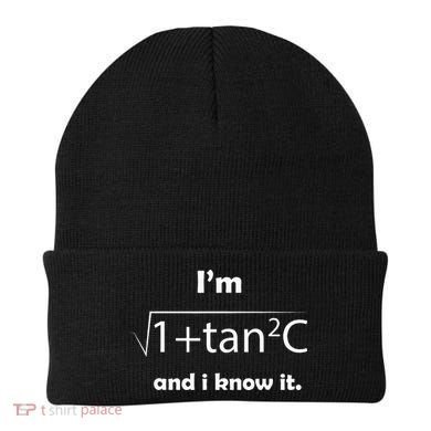IM Sec C And I Know It Funny Sexy Math Humor Beanie