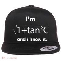 IM Sec C And I Know It Funny Sexy Math Humor Flat Bill Trucker Hat thumb 0