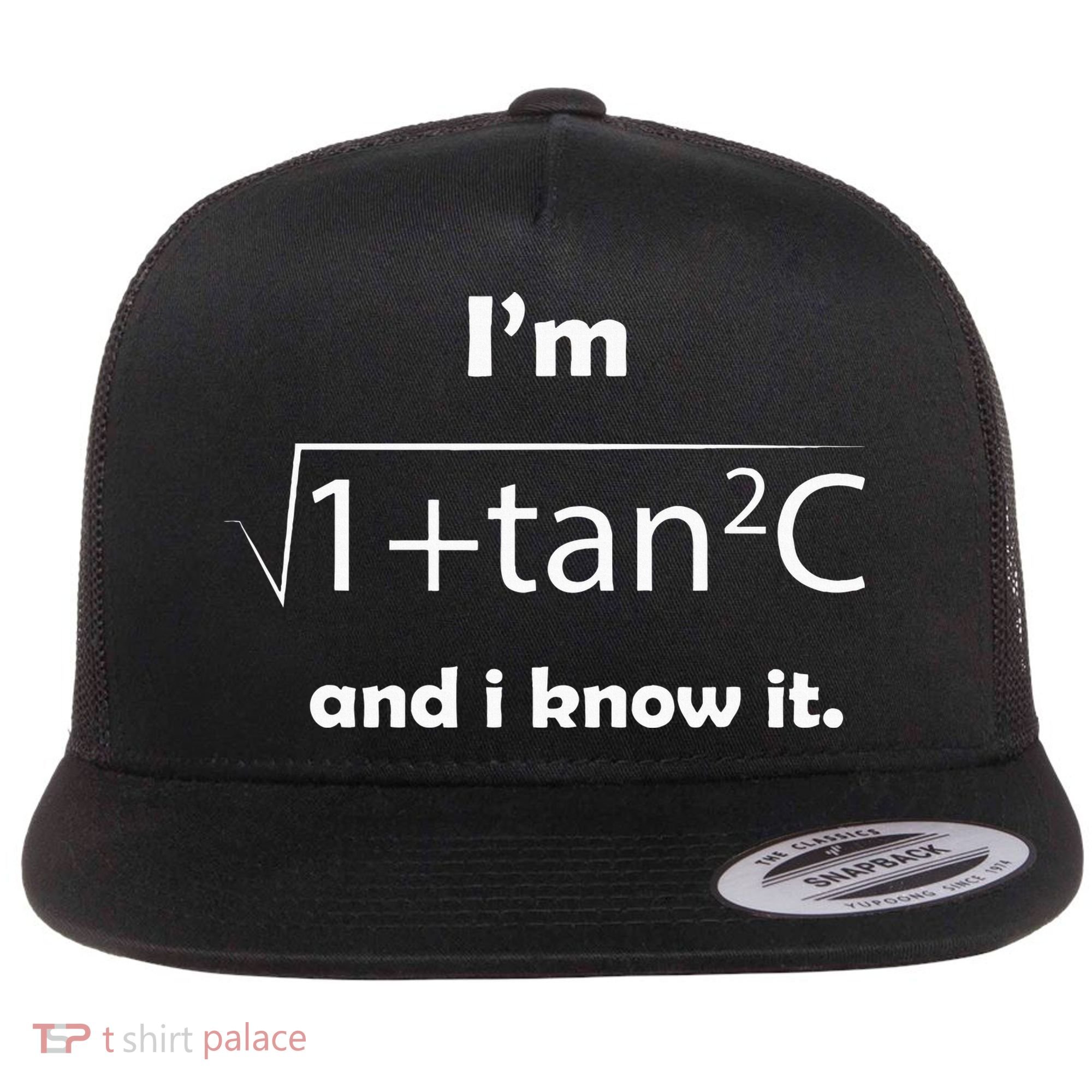 IM Sec C And I Know It Funny Sexy Math Humor Flat Bill Trucker Hat