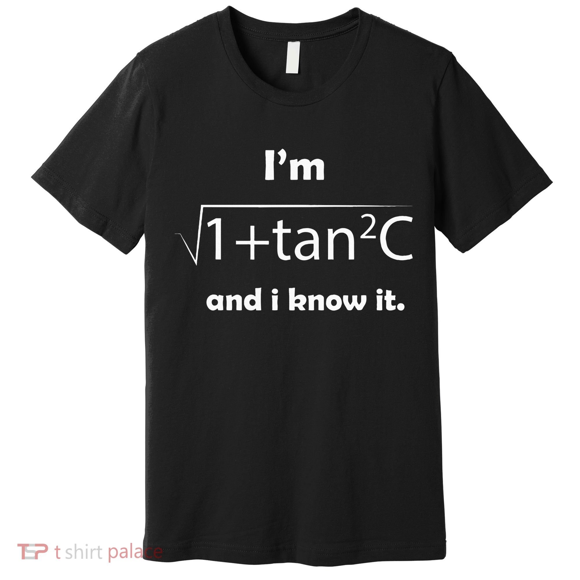 IM Sec C And I Know It Funny Sexy Math Humor Premium T-Shirt