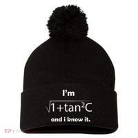 IM Sec C And I Know It Funny Sexy Math Humor Pom Pom 12in Knit Beanie thumb 0