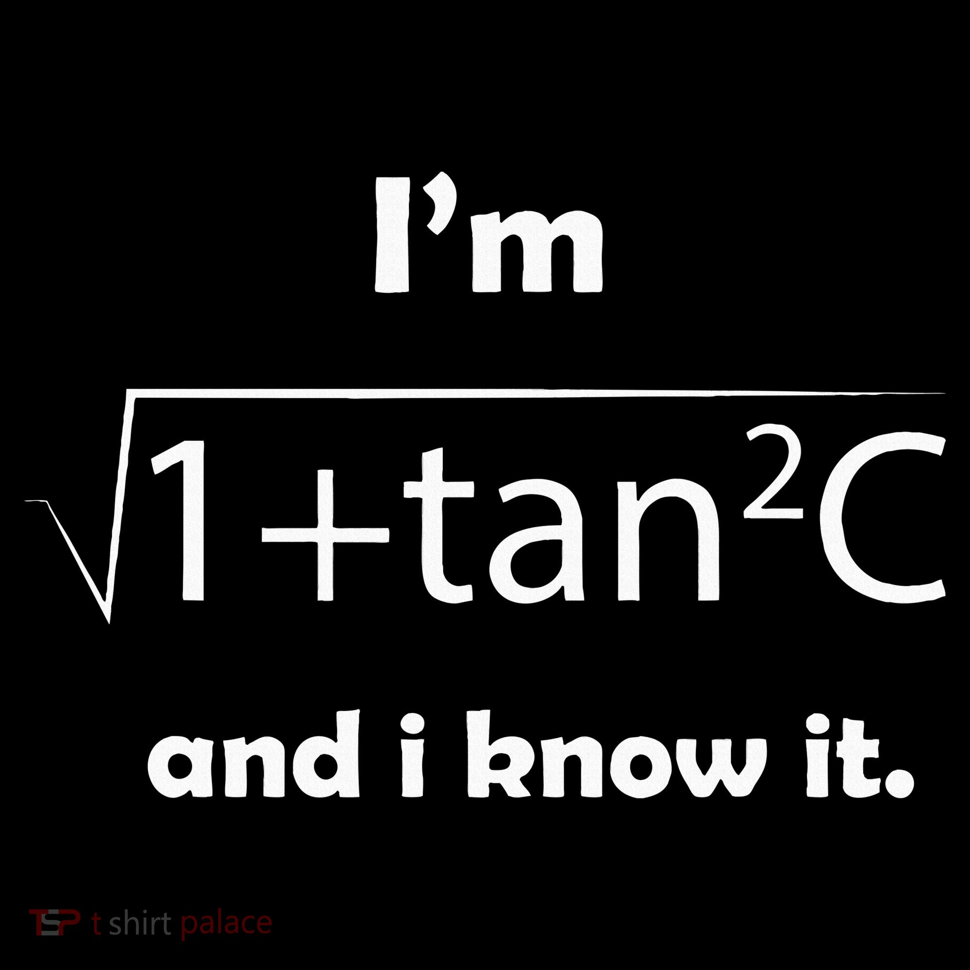 IM Sec C And I Know It Funny Sexy Math Humor PosiCharge Competitor Tank