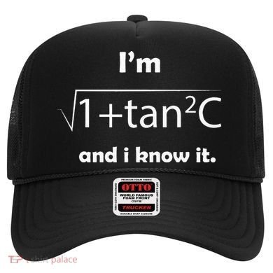 IM Sec C And I Know It Funny Sexy Math Humor Hat