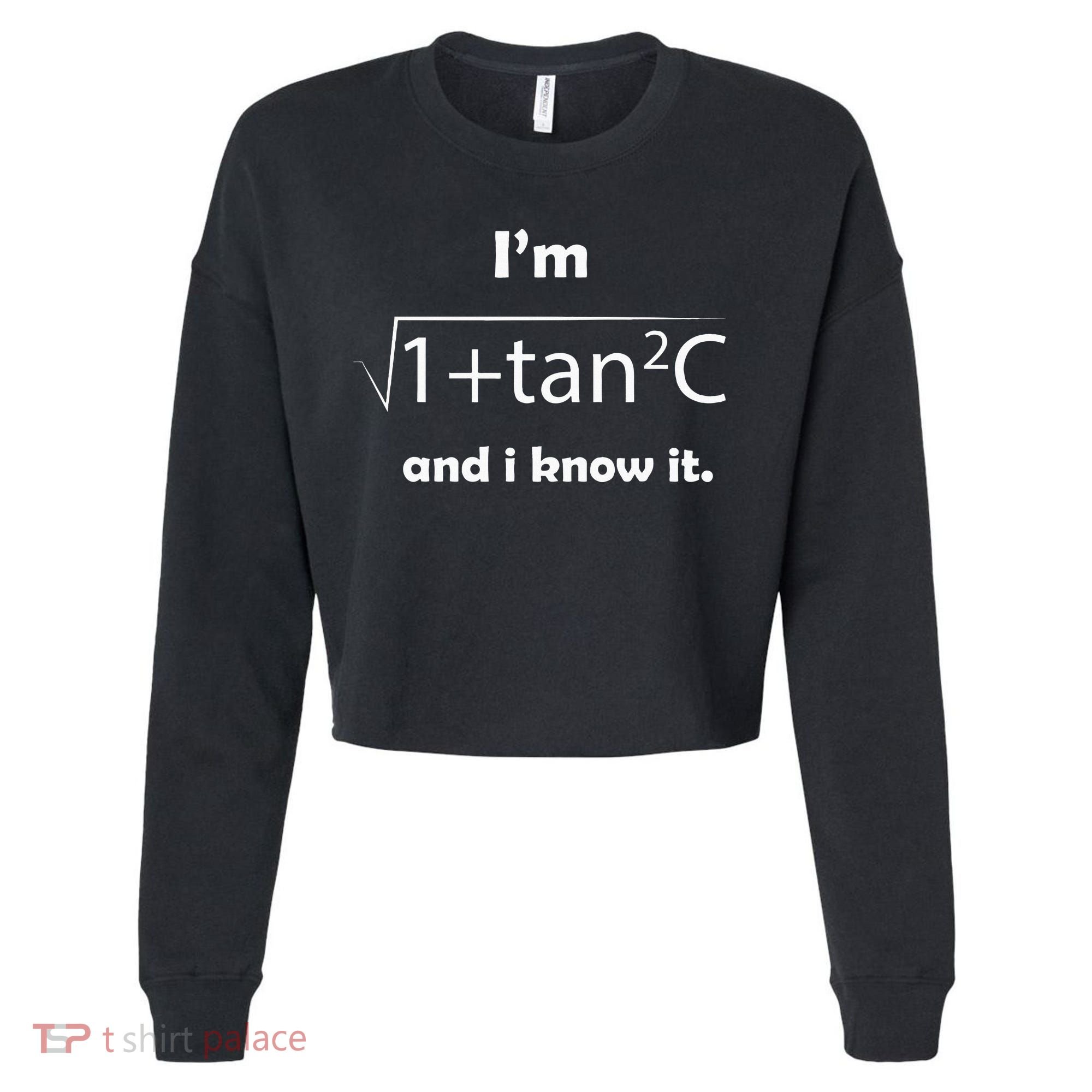 IM Sec C And I Know It Funny Sexy Math Humor Cropped Pullover Crew