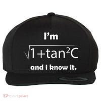 IM Sec C And I Know It Funny Sexy Math Humor Wool Snapback Cap thumb 0