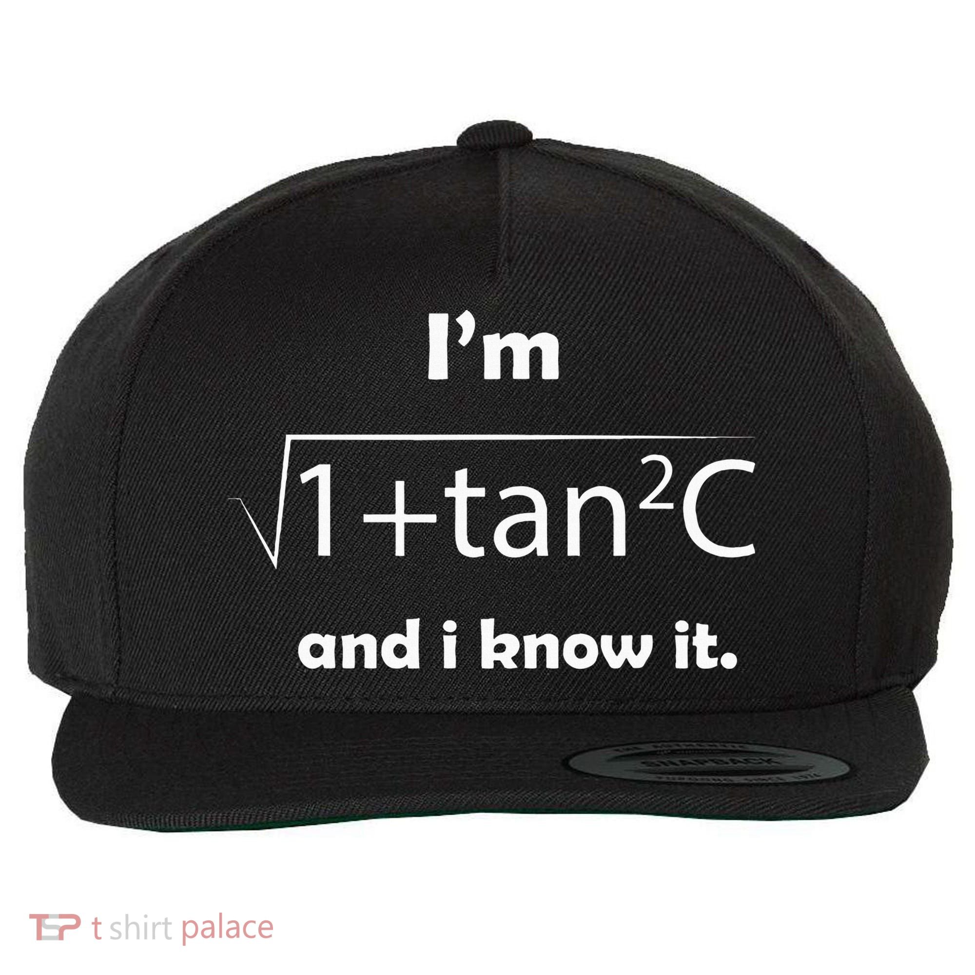 IM Sec C And I Know It Funny Sexy Math Humor Wool Snapback Cap