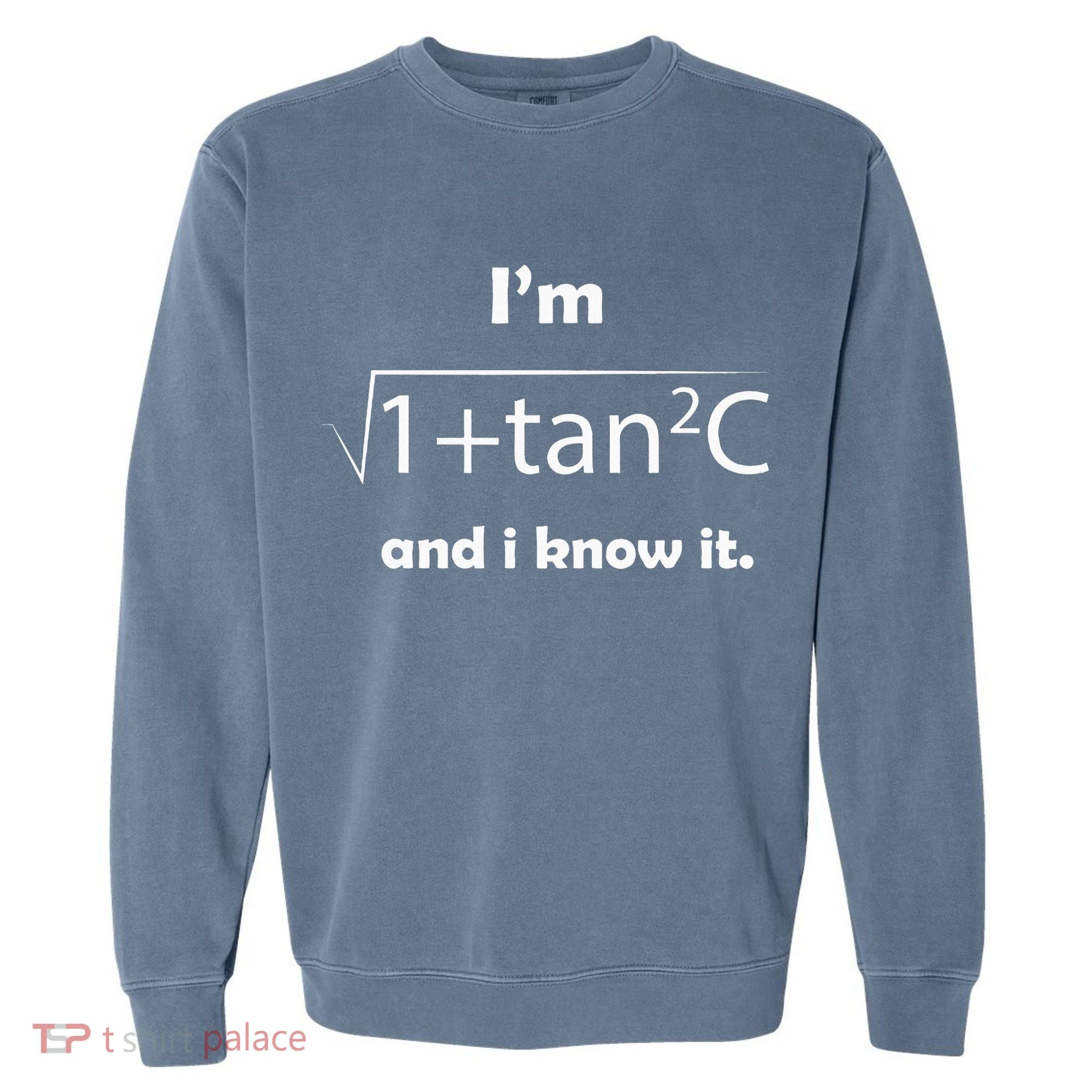 IM Sec C And I Know It Funny Sexy Math Humor Garment-Dyed Sweatshirt