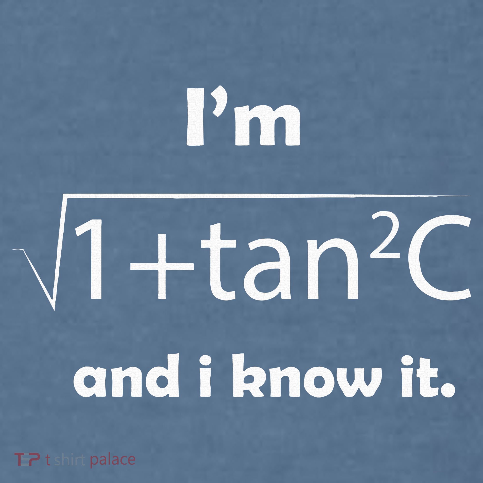 IM Sec C And I Know It Funny Sexy Math Humor Garment-Dyed Sweatshirt
