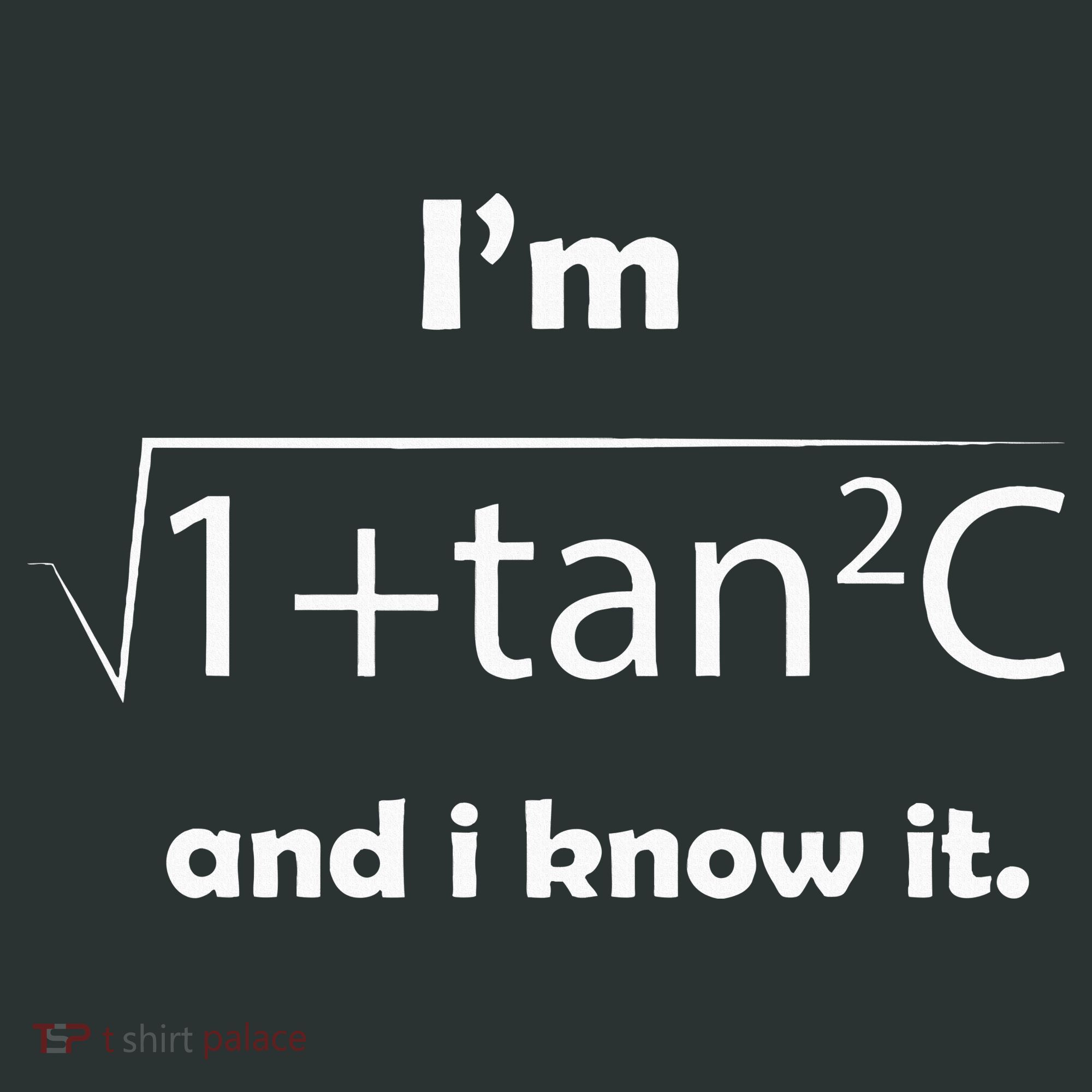 IM Sec C And I Know It Funny Sexy Math Humor Infant Baby Jersey Bodysuit