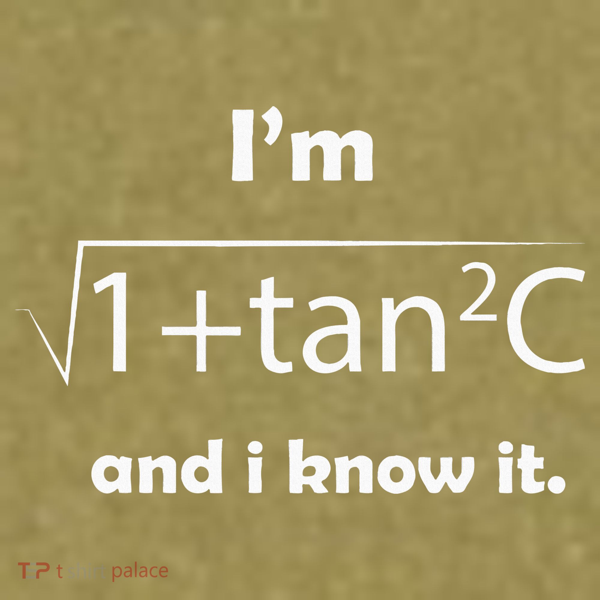 IM Sec C And I Know It Funny Sexy Math Humor Garment-Dyed Women's Muscle Tee