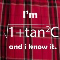IM Sec C And I Know It Funny Sexy Math Humor Women's Flannel Plaid Pajama Pants thumb 2