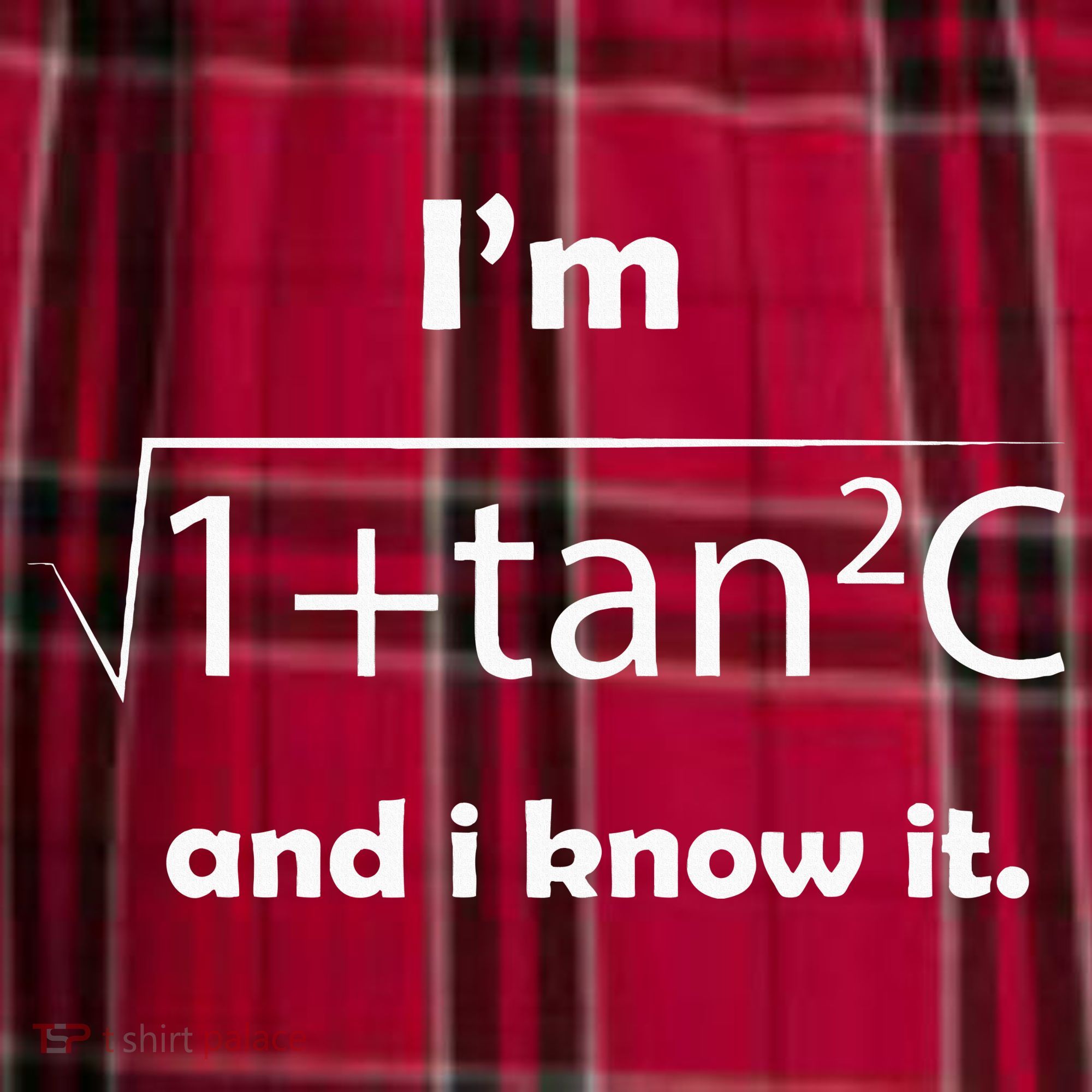 IM Sec C And I Know It Funny Sexy Math Humor Women's Flannel Plaid Pajama Pants