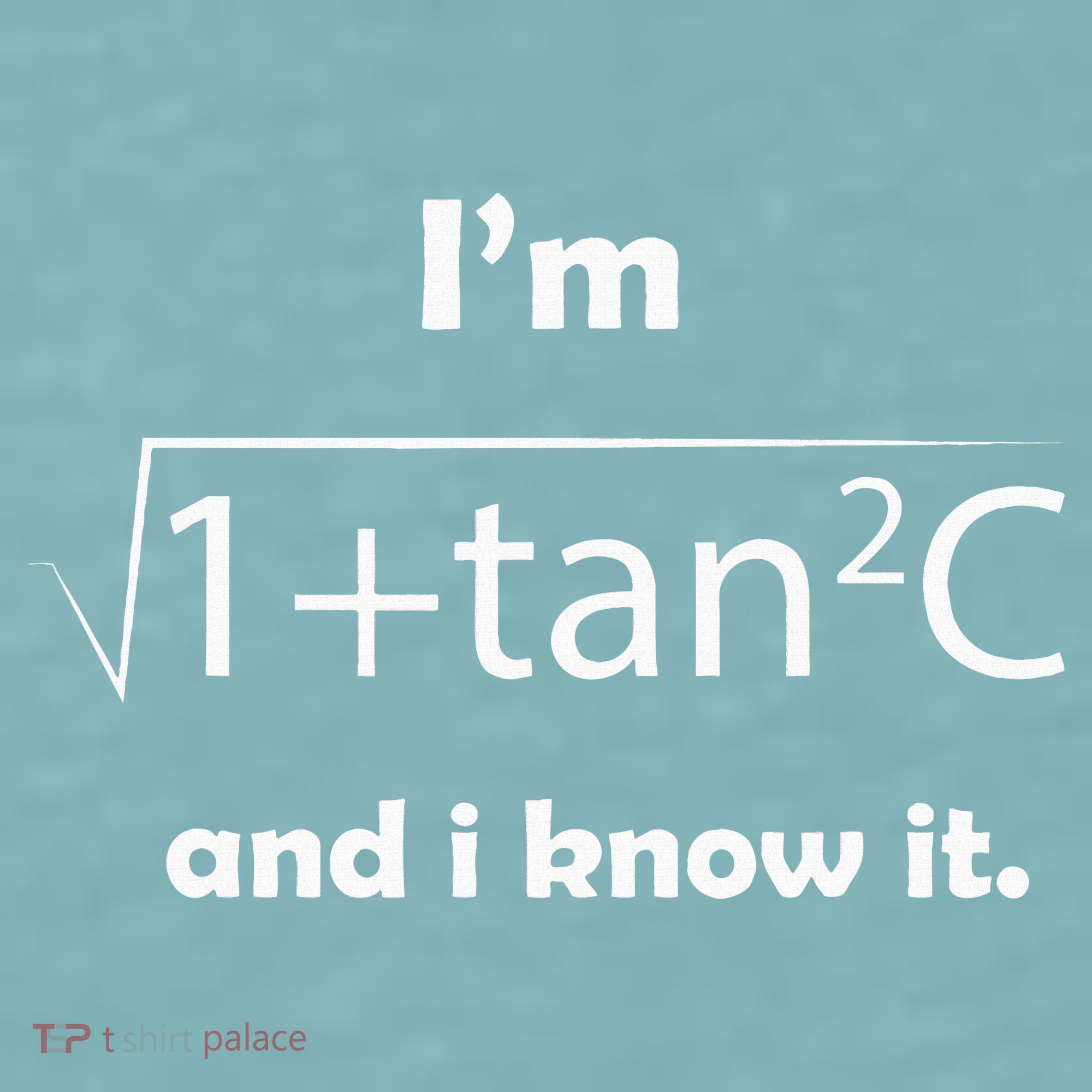 IM Sec C And I Know It Funny Sexy Math Humor Sueded Cloud Jersey T-Shirt