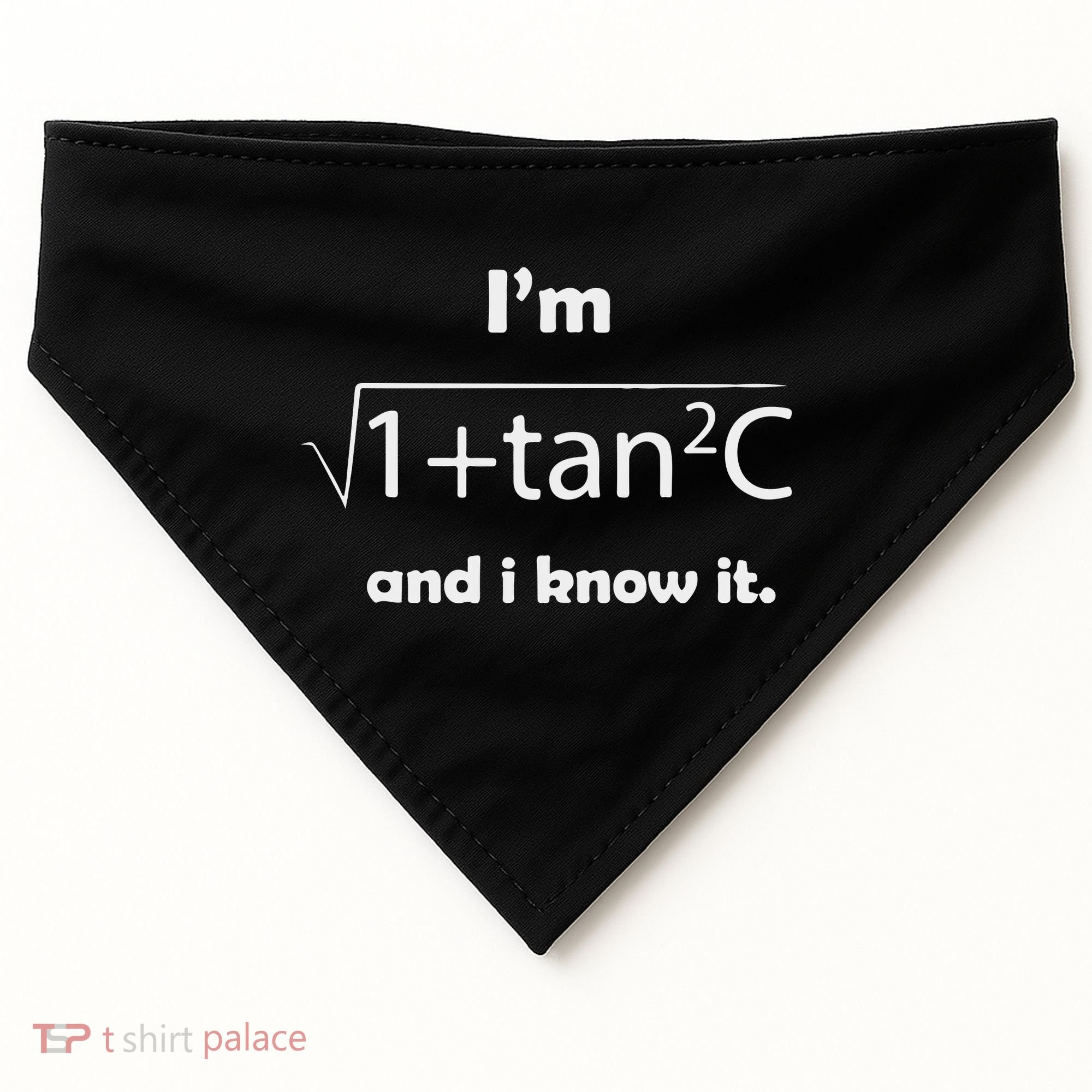 I’M Sec C And I Know It Funny Sexy Math Humor USA-Made Doggie Bandana