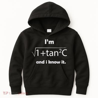 I’M Sec C And I Know It Funny Sexy Math Humor Kids Hoodie