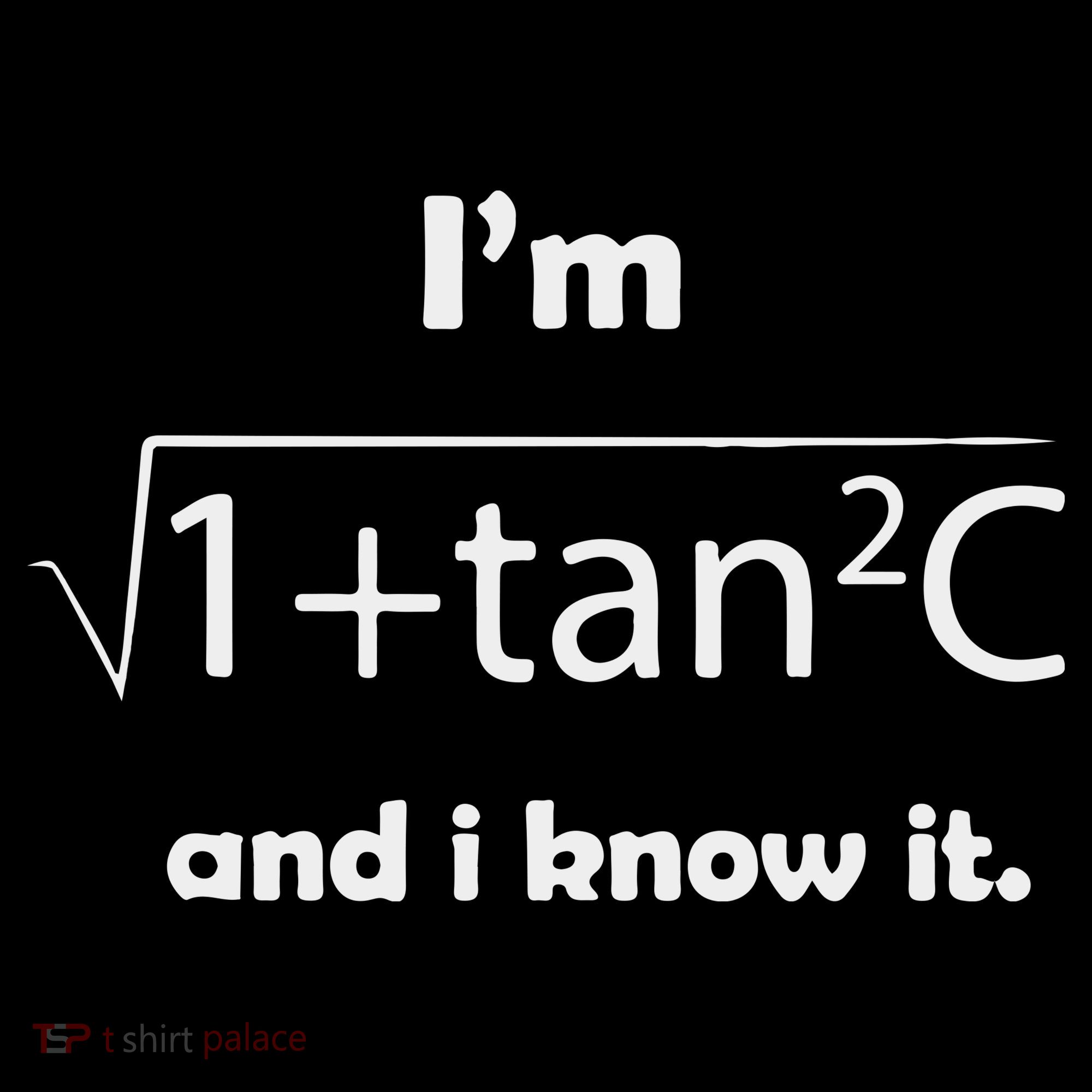 I’M Sec C And I Know It Funny Sexy Math Humor Kids Long Sleeve Shirt