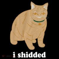 I Shidded Cat Funny USA-Made Doggie Bandana thumb 2